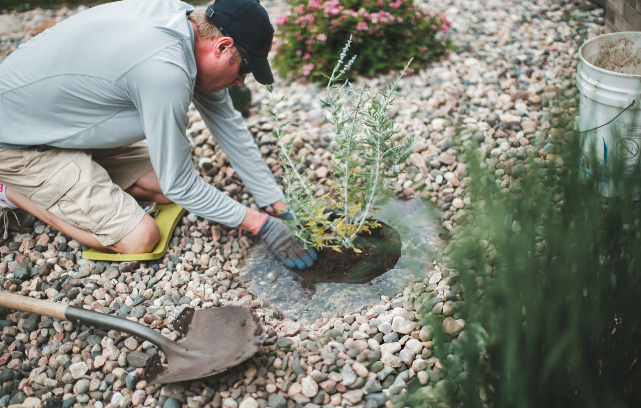 outdoor landscaping